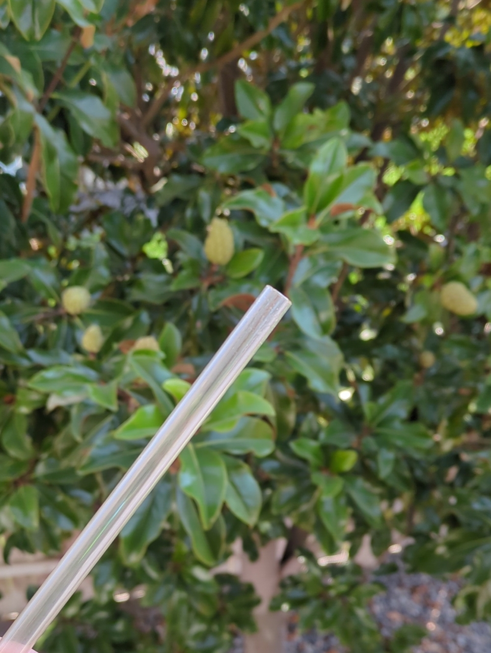 30 oz Butter Cabana Gloss Tumbler - Picture 3 of 3